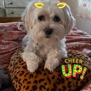 Meet your Posher, Ann